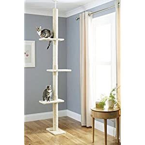 41qsB8Joi2L_SL500__SS300_(1)