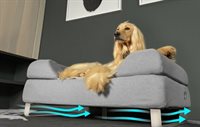 Topology-Afghan-lying-in-bolster-memory-Foam-dog-Bed-with-Toppers-and-feet-airflow-omlet