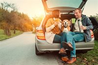 shutterstock_716331409(2)