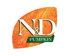 nd-pumpkin