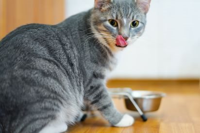 shutterstock_273334067_ok